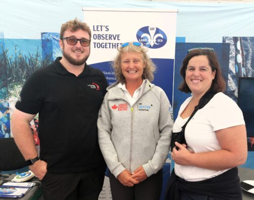 TransEurope Marinas projects