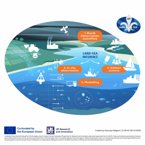 TransEurope Marinas projects