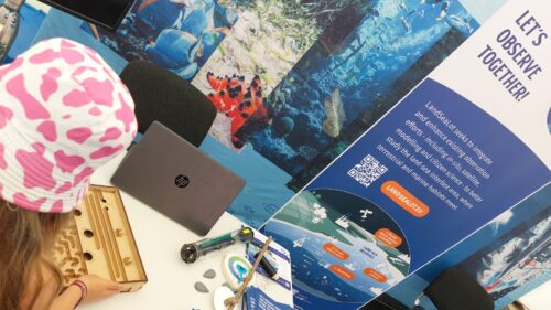 TransEurope Marinas Projects