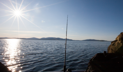 RecFishing