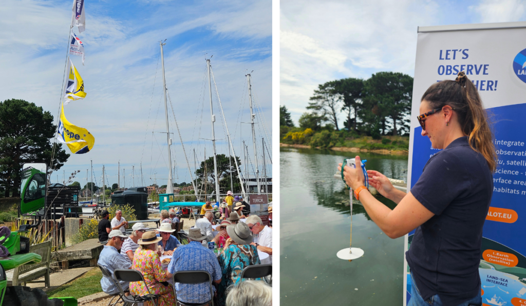 Marina citizen science