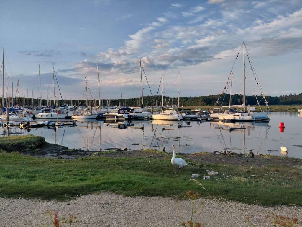 Marina citizen science